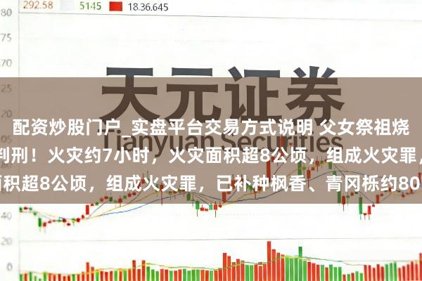 配资炒股门户_实盘平台交易方式说明 父女祭祖烧纸，75岁老东说念主被判刑！火灾约7小时，火灾面积超8公顷，组成火灾罪，已补种枫香、青冈栎约80亩