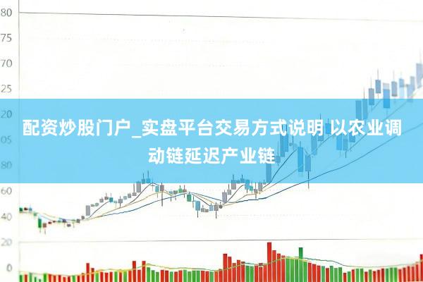 配资炒股门户_实盘平台交易方式说明 以农业调动链延迟产业链