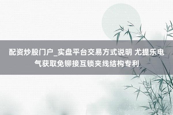 配资炒股门户_实盘平台交易方式说明 尤提乐电气获取免铆接互锁夹线结构专利